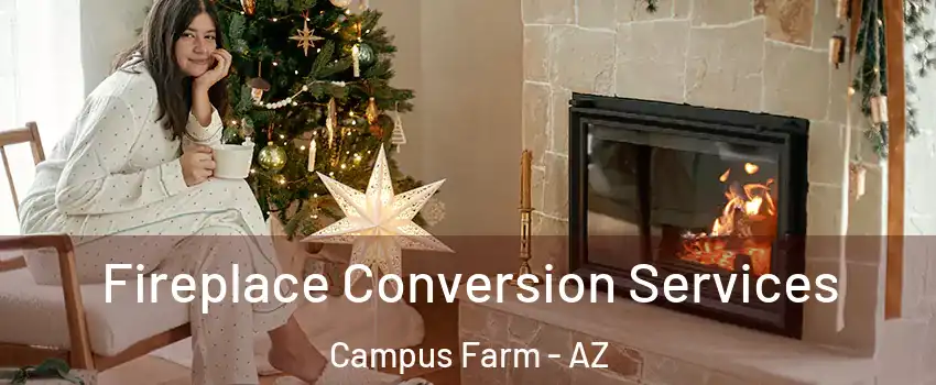 Fireplace Conversion Services Campus Farm - AZ