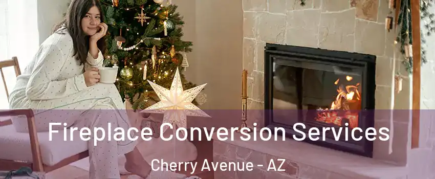 Fireplace Conversion Services Cherry Avenue - AZ
