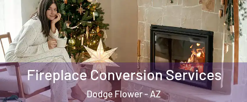 Fireplace Conversion Services Dodge Flower - AZ