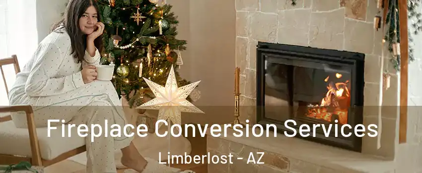 Fireplace Conversion Services Limberlost - AZ
