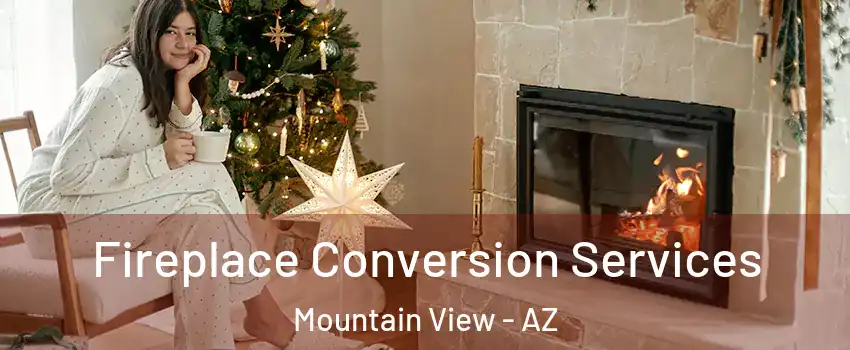 Fireplace Conversion Services Mountain View - AZ