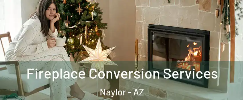 Fireplace Conversion Services Naylor - AZ
