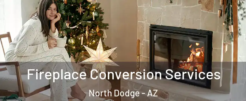 Fireplace Conversion Services North Dodge - AZ