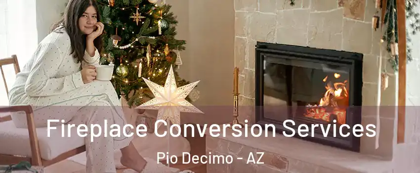 Fireplace Conversion Services Pio Decimo - AZ
