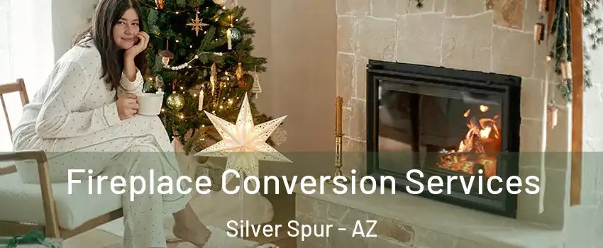 Fireplace Conversion Services Silver Spur - AZ