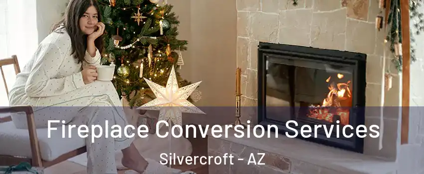 Fireplace Conversion Services Silvercroft - AZ