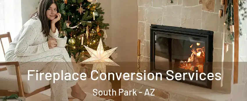 Fireplace Conversion Services South Park - AZ