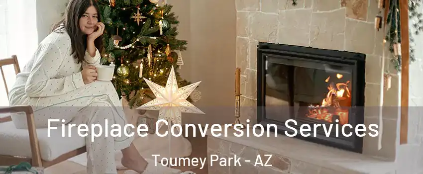Fireplace Conversion Services Toumey Park - AZ