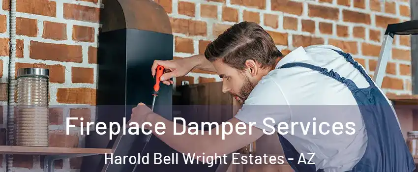 Fireplace Damper Services Harold Bell Wright Estates - AZ