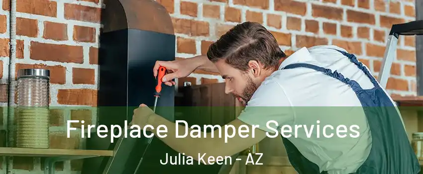 Fireplace Damper Services Julia Keen - AZ