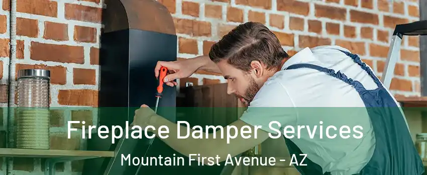 Fireplace Damper Services Mountain First Avenue - AZ