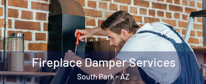 Fireplace Damper Services South Park - AZ