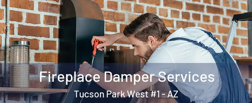 Fireplace Damper Services Tucson Park West #1 - AZ