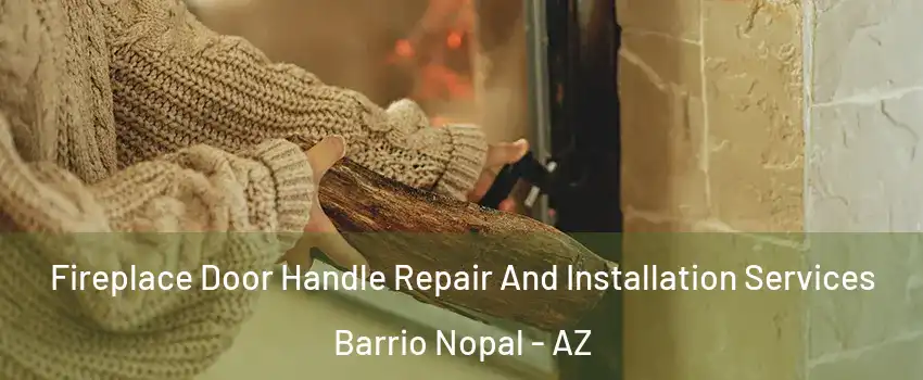 Fireplace Door Handle Repair And Installation Services Barrio Nopal - AZ