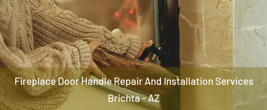 Fireplace Door Handle Repair And Installation Services Brichta - AZ