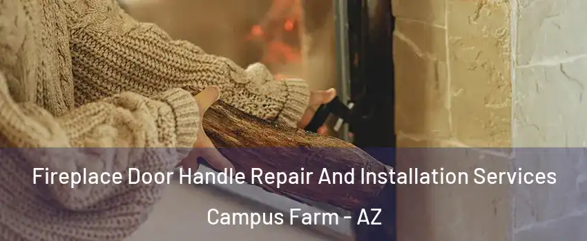 Fireplace Door Handle Repair And Installation Services Campus Farm - AZ