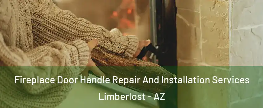 Fireplace Door Handle Repair And Installation Services Limberlost - AZ