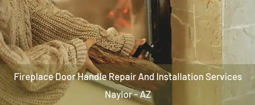 Fireplace Door Handle Repair And Installation Services Naylor - AZ