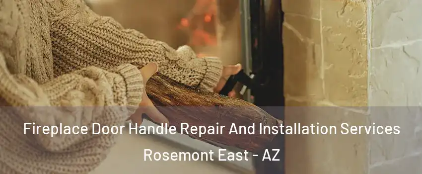Fireplace Door Handle Repair And Installation Services Rosemont East - AZ