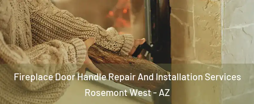 Fireplace Door Handle Repair And Installation Services Rosemont West - AZ