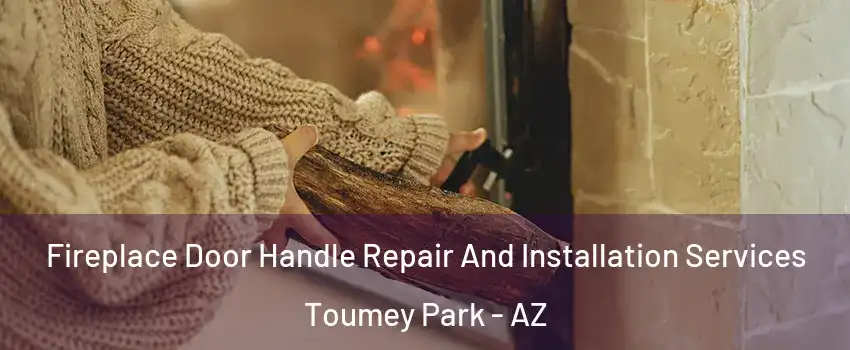 Fireplace Door Handle Repair And Installation Services Toumey Park - AZ
