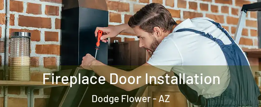 Fireplace Door Installation Dodge Flower - AZ