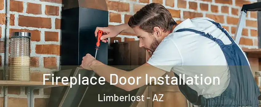 Fireplace Door Installation Limberlost - AZ