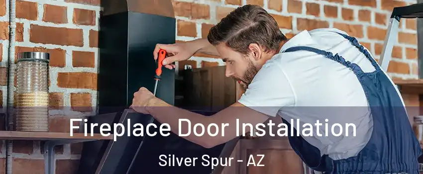 Fireplace Door Installation Silver Spur - AZ