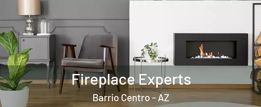 Fireplace Experts Barrio Centro - AZ