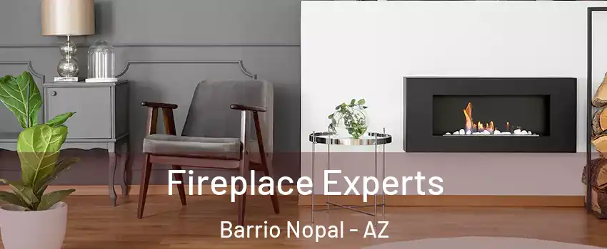 Fireplace Experts Barrio Nopal - AZ