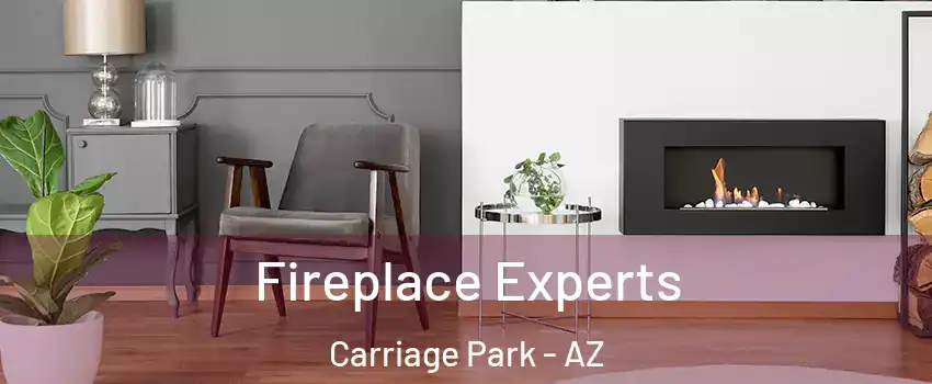 Fireplace Experts Carriage Park - AZ
