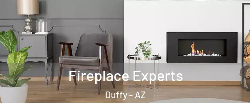 Fireplace Experts Duffy - AZ