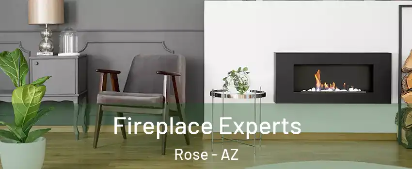 Fireplace Experts Rose - AZ