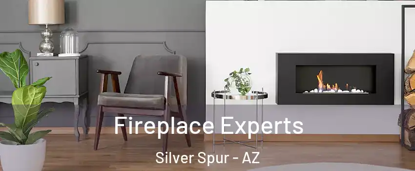 Fireplace Experts Silver Spur - AZ