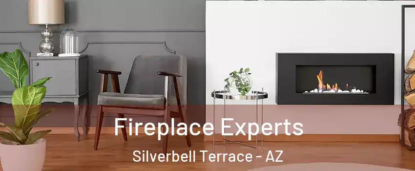 Fireplace Experts Silverbell Terrace - AZ
