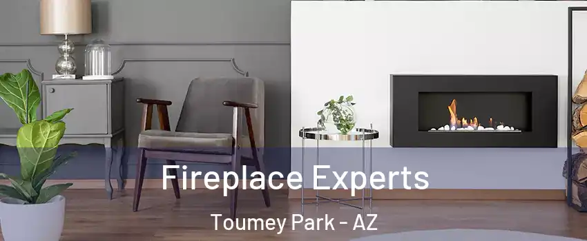 Fireplace Experts Toumey Park - AZ