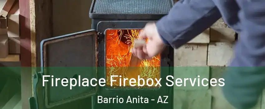 Fireplace Firebox Services Barrio Anita - AZ