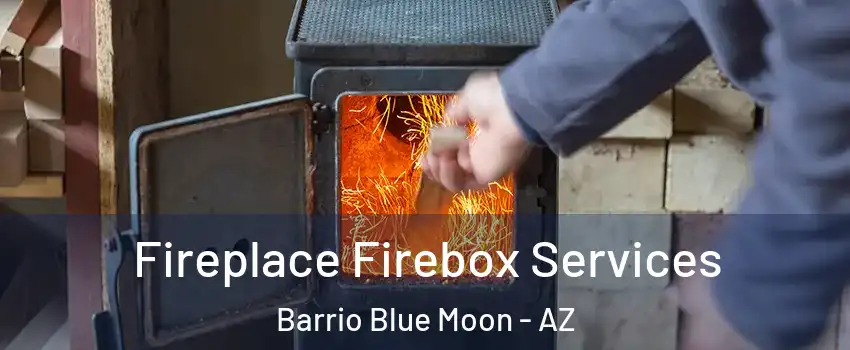 Fireplace Firebox Services Barrio Blue Moon - AZ