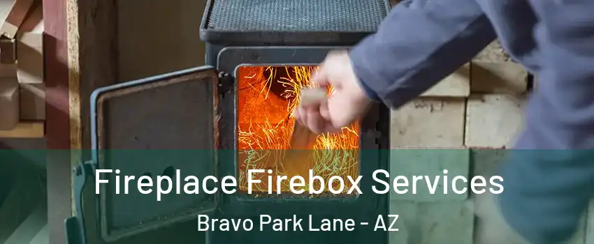 Fireplace Firebox Services Bravo Park Lane - AZ