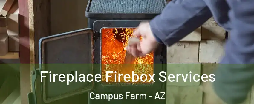 Fireplace Firebox Services Campus Farm - AZ