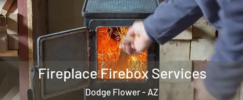 Fireplace Firebox Services Dodge Flower - AZ
