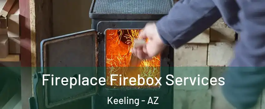 Fireplace Firebox Services Keeling - AZ