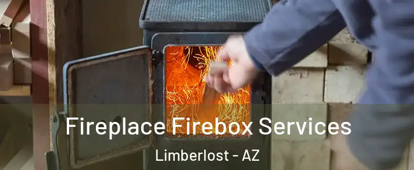 Fireplace Firebox Services Limberlost - AZ