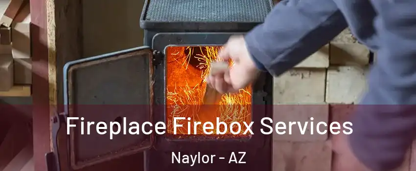 Fireplace Firebox Services Naylor - AZ