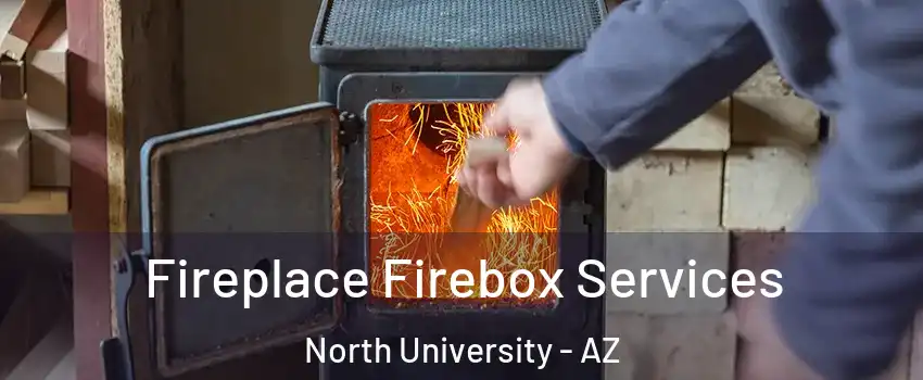 Fireplace Firebox Services North University - AZ