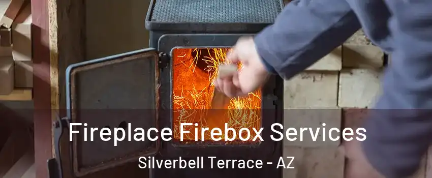 Fireplace Firebox Services Silverbell Terrace - AZ