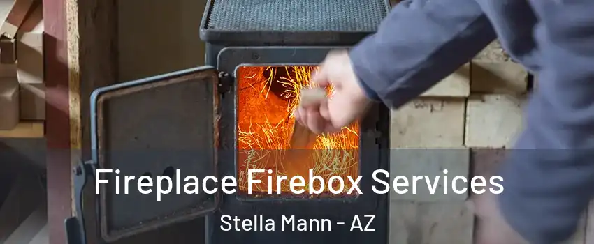 Fireplace Firebox Services Stella Mann - AZ