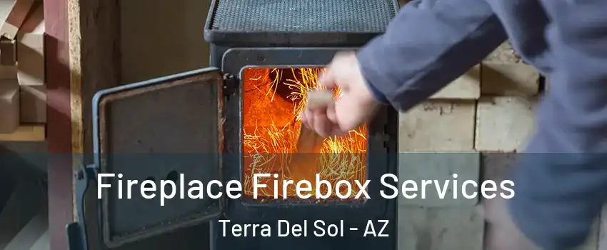 Fireplace Firebox Services Terra Del Sol - AZ