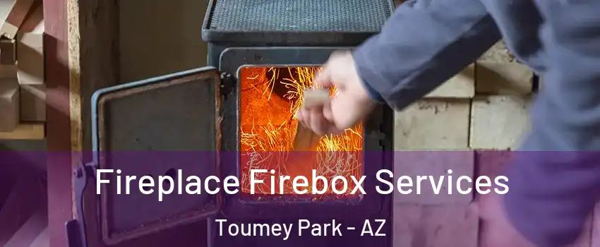 Fireplace Firebox Services Toumey Park - AZ