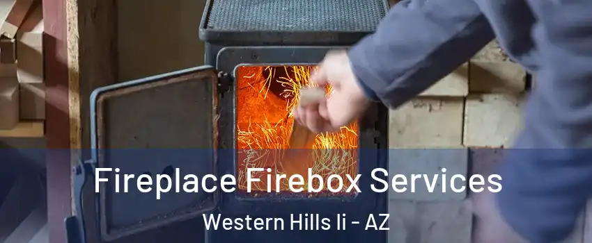 Fireplace Firebox Services Western Hills Ii - AZ